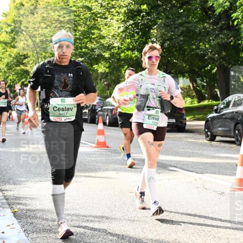 20.09.2026 - PSD Bank Halbmarathon Dr. Thomas Lammeyer http://msf.ph/oto/10498903 20.09.2026 10:49:44 Laufen 3457, 125, 4683 meine-sportfotos.de