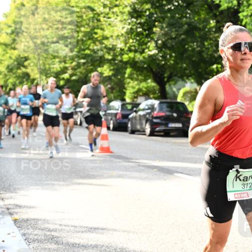20.09.2026 - PSD Bank Halbmarathon Dr. Thomas Lammeyer http://msf.ph/oto/10498967 20.09.2026 10:49:52 Laufen 3720 meine-sportfotos.de