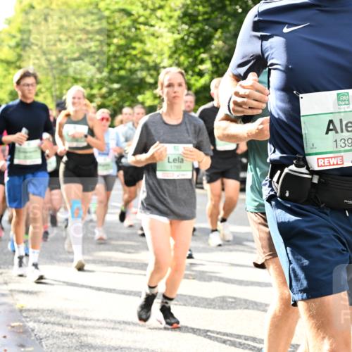 20.09.2026 - PSD Bank Halbmarathon Dr. Thomas Lammeyer http://msf.ph/oto/10499023 20.09.2026 10:49:58 Laufen 1789, 1398 meine-sportfotos.de