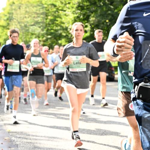 20.09.2026 - PSD Bank Halbmarathon Dr. Thomas Lammeyer http://msf.ph/oto/10499024 20.09.2026 10:49:58 Laufen 1789, 1398 meine-sportfotos.de