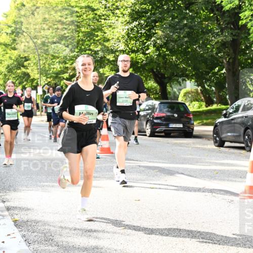 20.09.2026 - PSD Bank Halbmarathon Dr. Thomas Lammeyer http://msf.ph/oto/10499089 20.09.2026 10:50:05 Laufen 3109 meine-sportfotos.de