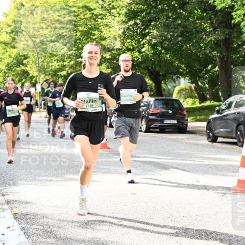 20.09.2026 - PSD Bank Halbmarathon Dr. Thomas Lammeyer http://msf.ph/oto/10499090 20.09.2026 10:50:05 Laufen 1112, 1749, 3109 meine-sportfotos.de