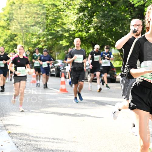 20.09.2026 - PSD Bank Halbmarathon Dr. Thomas Lammeyer http://msf.ph/oto/10499101 20.09.2026 10:50:06 Laufen 1749 meine-sportfotos.de