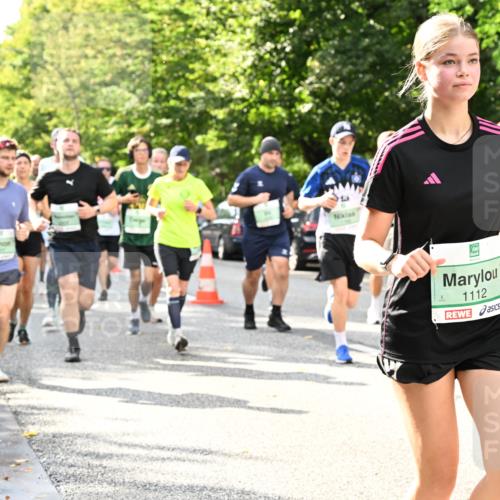 20.09.2026 - PSD Bank Halbmarathon Dr. Thomas Lammeyer http://msf.ph/oto/10499125 20.09.2026 10:50:09 Laufen 1112 meine-sportfotos.de