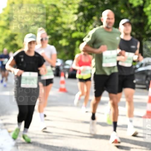 20.09.2026 - PSD Bank Halbmarathon Dr. Thomas Lammeyer http://msf.ph/oto/10499170 20.09.2026 10:50:13 Laufen  meine-sportfotos.de