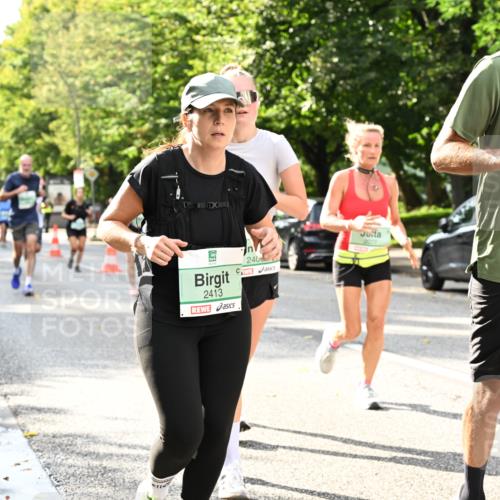 20.09.2026 - PSD Bank Halbmarathon Dr. Thomas Lammeyer http://msf.ph/oto/10499178 20.09.2026 10:50:14 Laufen 240, 2413, 2077, 1227, 29 meine-sportfotos.de