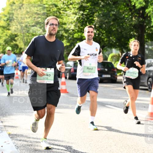 20.09.2026 - PSD Bank Halbmarathon Dr. Thomas Lammeyer http://msf.ph/oto/10499239 20.09.2026 10:50:20 Laufen 3458, 1027 meine-sportfotos.de