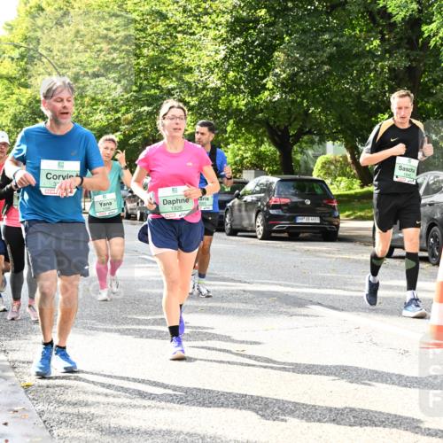 20.09.2026 - PSD Bank Halbmarathon Dr. Thomas Lammeyer http://msf.ph/oto/10499319 20.09.2026 10:50:29 Laufen 1066, 1926, 1065, 4683 meine-sportfotos.de