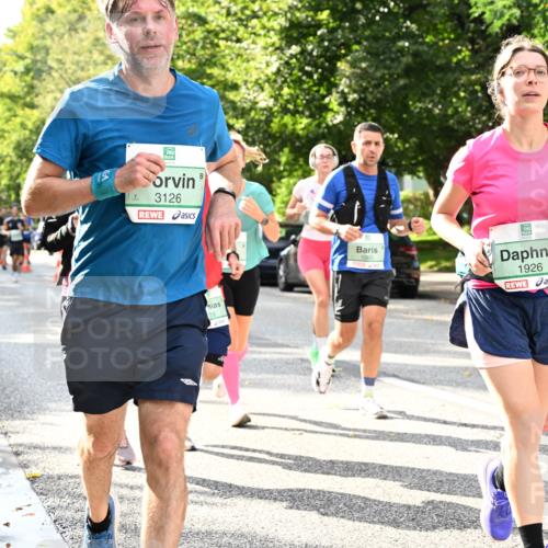 20.09.2026 - PSD Bank Halbmarathon Dr. Thomas Lammeyer http://msf.ph/oto/10499334 20.09.2026 10:50:30 Laufen 3126, 18, 1065, 1926 meine-sportfotos.de