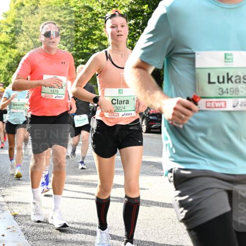 20.09.2026 - PSD Bank Halbmarathon Dr. Thomas Lammeyer http://msf.ph/oto/10499487 20.09.2026 10:50:47 Laufen 1579, 1875, 3224, 3498, 2526 meine-sportfotos.de