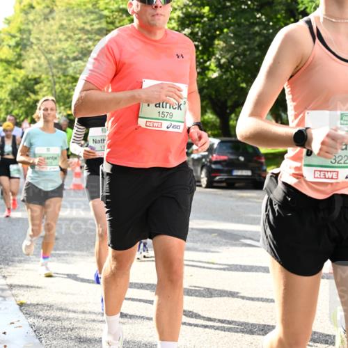 20.09.2026 - PSD Bank Halbmarathon Dr. Thomas Lammeyer http://msf.ph/oto/10499496 20.09.2026 10:50:48 Laufen 17, 83, 1579, 3224, 13 meine-sportfotos.de