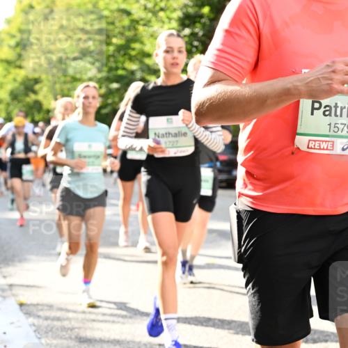 20.09.2026 - PSD Bank Halbmarathon Dr. Thomas Lammeyer http://msf.ph/oto/10499503 20.09.2026 10:50:48 Laufen 1727, 8, 1579 meine-sportfotos.de