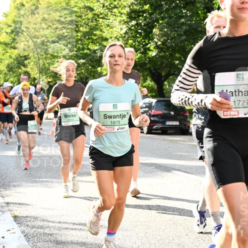 20.09.2026 - PSD Bank Halbmarathon Dr. Thomas Lammeyer http://msf.ph/oto/10499511 20.09.2026 10:50:49 Laufen 3833, 1875, 1727 meine-sportfotos.de