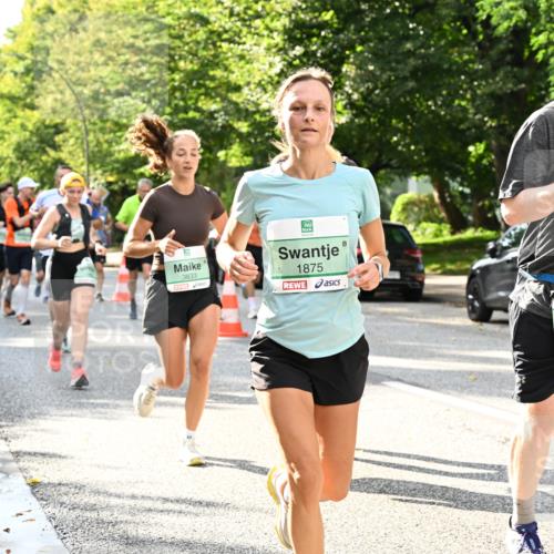 20.09.2026 - PSD Bank Halbmarathon Dr. Thomas Lammeyer http://msf.ph/oto/10499514 20.09.2026 10:50:49 Laufen 3833, 1875, 331 meine-sportfotos.de