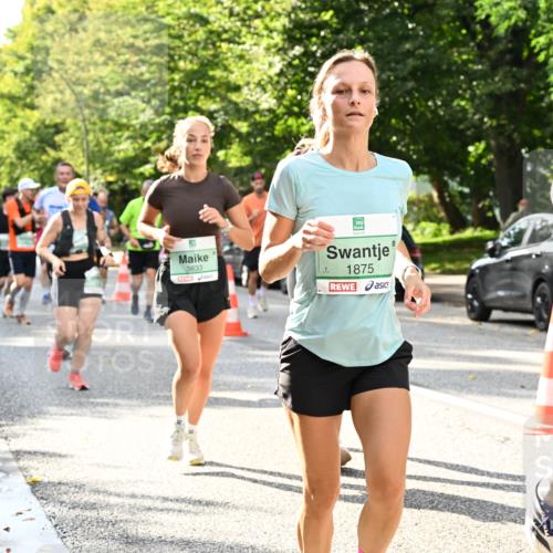 20.09.2026 - PSD Bank Halbmarathon Dr. Thomas Lammeyer http://msf.ph/oto/10499516 20.09.2026 10:50:50 Laufen 3833, 1875, 3310 meine-sportfotos.de