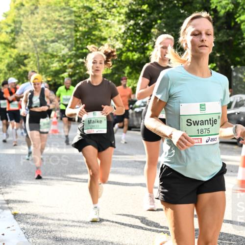 20.09.2026 - PSD Bank Halbmarathon Dr. Thomas Lammeyer http://msf.ph/oto/10499517 20.09.2026 10:50:50 Laufen 3833, 1875 meine-sportfotos.de