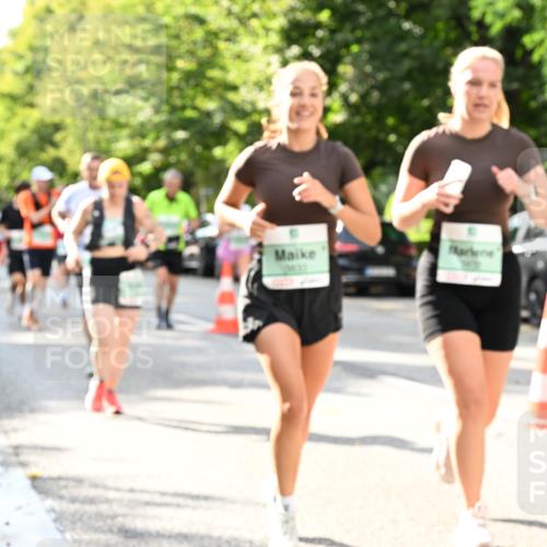 20.09.2026 - PSD Bank Halbmarathon Dr. Thomas Lammeyer http://msf.ph/oto/10499523 20.09.2026 10:50:50 Laufen  meine-sportfotos.de
