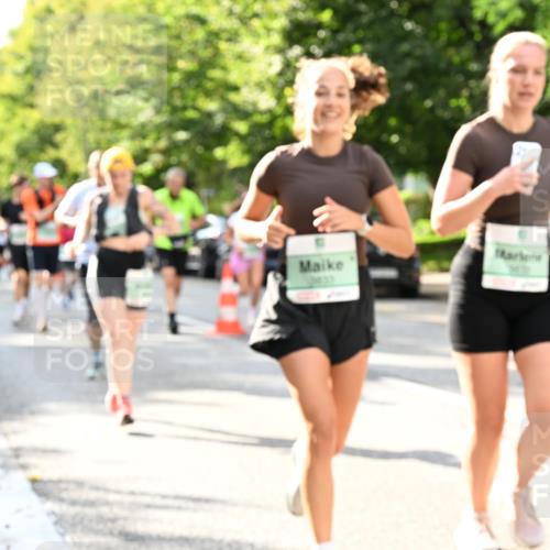 20.09.2026 - PSD Bank Halbmarathon Dr. Thomas Lammeyer http://msf.ph/oto/10499525 20.09.2026 10:50:51 Laufen  meine-sportfotos.de