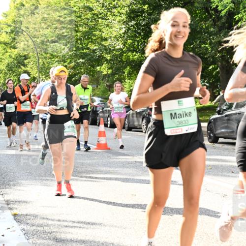 20.09.2026 - PSD Bank Halbmarathon Dr. Thomas Lammeyer http://msf.ph/oto/10499526 20.09.2026 10:50:51 Laufen 196, 3833, 250, 3832 meine-sportfotos.de