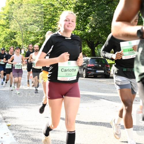 20.09.2026 - PSD Bank Halbmarathon Dr. Thomas Lammeyer http://msf.ph/oto/10499646 20.09.2026 10:51:03 Laufen 2837, 2818, 3389, 4683, 4696, 269 meine-sportfotos.de