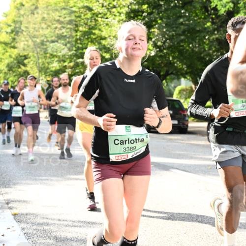 20.09.2026 - PSD Bank Halbmarathon Dr. Thomas Lammeyer http://msf.ph/oto/10499648 20.09.2026 10:51:03 Laufen 3389, 4696 meine-sportfotos.de