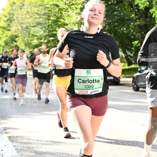20.09.2026 - PSD Bank Halbmarathon Dr. Thomas Lammeyer http://msf.ph/oto/10499649 20.09.2026 10:51:03 Laufen 3389, 4696 meine-sportfotos.de