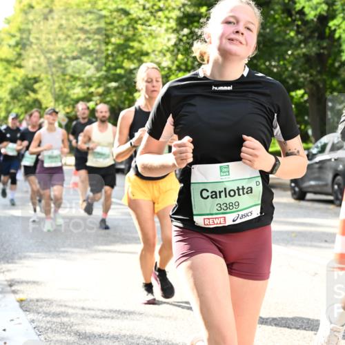 20.09.2026 - PSD Bank Halbmarathon Dr. Thomas Lammeyer http://msf.ph/oto/10499652 20.09.2026 10:51:03 Laufen 3389 meine-sportfotos.de
