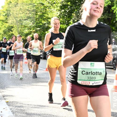 20.09.2026 - PSD Bank Halbmarathon Dr. Thomas Lammeyer http://msf.ph/oto/10499653 20.09.2026 10:51:03 Laufen 1864, 3389 meine-sportfotos.de