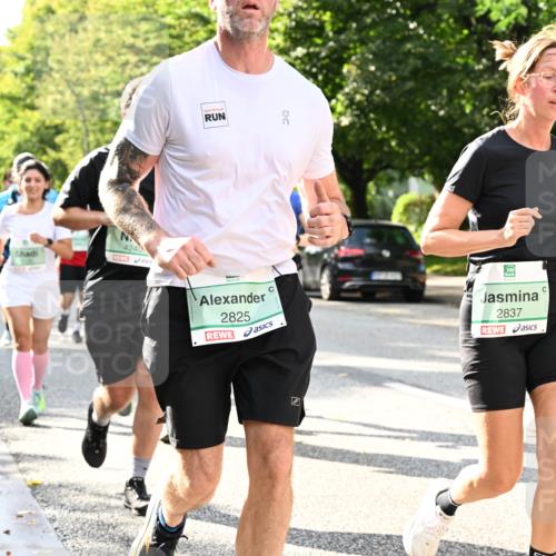 20.09.2026 - PSD Bank Halbmarathon Dr. Thomas Lammeyer http://msf.ph/oto/10499683 20.09.2026 10:51:07 Laufen 4240, 2825, 2837 meine-sportfotos.de
