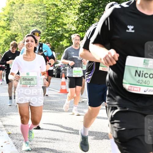 20.09.2026 - PSD Bank Halbmarathon Dr. Thomas Lammeyer http://msf.ph/oto/10499691 20.09.2026 10:51:09 Laufen 1125, 4530, 3, 1, 4240, 25 meine-sportfotos.de