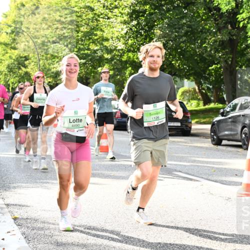 20.09.2026 - PSD Bank Halbmarathon Dr. Thomas Lammeyer http://msf.ph/oto/10499724 20.09.2026 10:51:13 Laufen 4490, 1126 meine-sportfotos.de