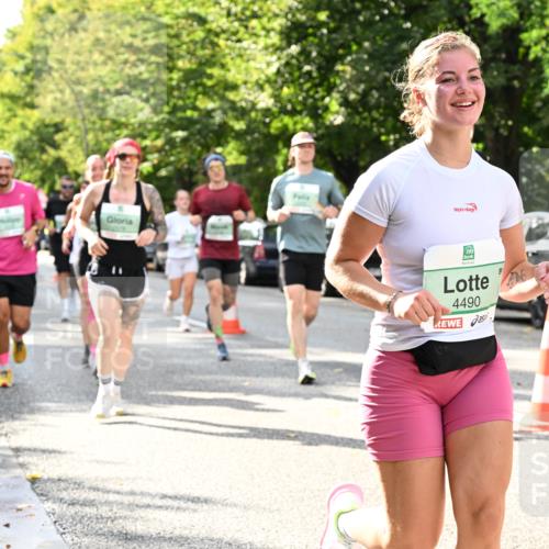 20.09.2026 - PSD Bank Halbmarathon Dr. Thomas Lammeyer http://msf.ph/oto/10499727 20.09.2026 10:51:14 Laufen 4490 meine-sportfotos.de