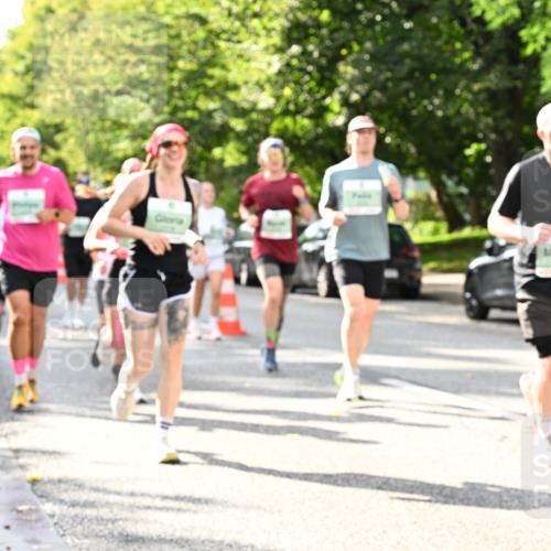20.09.2026 - PSD Bank Halbmarathon Dr. Thomas Lammeyer http://msf.ph/oto/10499733 20.09.2026 10:51:14 Laufen  meine-sportfotos.de
