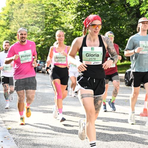 20.09.2026 - PSD Bank Halbmarathon Dr. Thomas Lammeyer http://msf.ph/oto/10499743 20.09.2026 10:51:15 Laufen 3000, 4234, 4233, 2578, 2220 meine-sportfotos.de