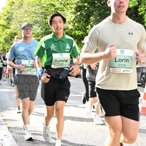20.09.2026 - PSD Bank Halbmarathon Dr. Thomas Lammeyer http://msf.ph/oto/10499788 20.09.2026 10:51:21 Laufen 2682, 1366, 2004 meine-sportfotos.de
