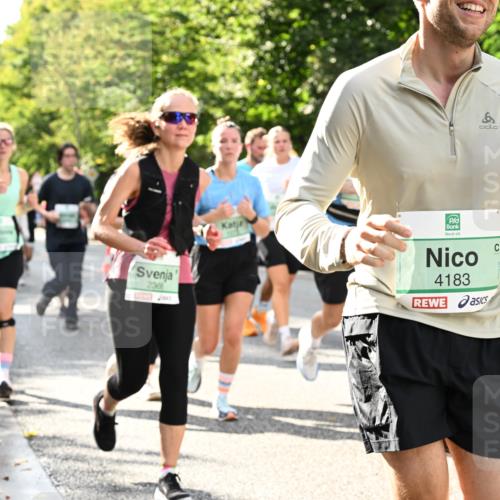 20.09.2026 - PSD Bank Halbmarathon Dr. Thomas Lammeyer http://msf.ph/oto/10499834 20.09.2026 10:51:26 Laufen 2368, 8, 4183, 32 meine-sportfotos.de