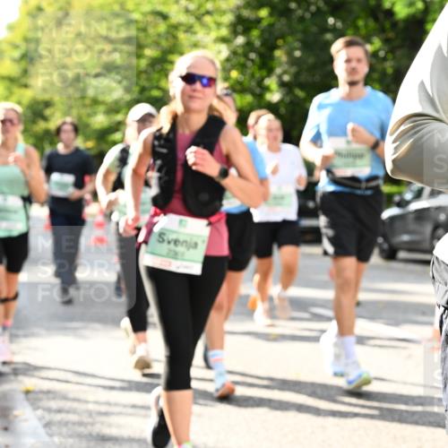 20.09.2026 - PSD Bank Halbmarathon Dr. Thomas Lammeyer http://msf.ph/oto/10499837 20.09.2026 10:51:26 Laufen  meine-sportfotos.de