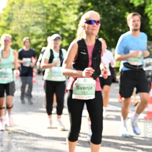 20.09.2026 - PSD Bank Halbmarathon Dr. Thomas Lammeyer http://msf.ph/oto/10499840 20.09.2026 10:51:27 Laufen  meine-sportfotos.de