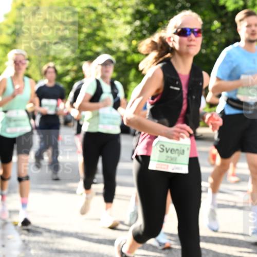 20.09.2026 - PSD Bank Halbmarathon Dr. Thomas Lammeyer http://msf.ph/oto/10499842 20.09.2026 10:51:27 Laufen 230 meine-sportfotos.de