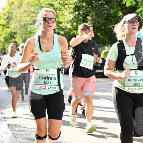 20.09.2026 - PSD Bank Halbmarathon Dr. Thomas Lammeyer http://msf.ph/oto/10499853 20.09.2026 10:51:28 Laufen 1031, 1874, 3553, 1255 meine-sportfotos.de