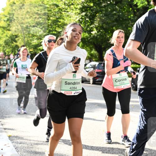 20.09.2026 - PSD Bank Halbmarathon Dr. Thomas Lammeyer http://msf.ph/oto/10499867 20.09.2026 10:51:30 Laufen 4284, 1228, 3282 meine-sportfotos.de
