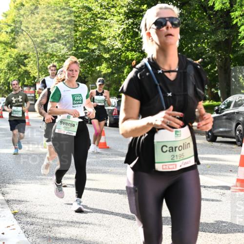 20.09.2026 - PSD Bank Halbmarathon Dr. Thomas Lammeyer http://msf.ph/oto/10499878 20.09.2026 10:51:31 Laufen 4301, 2195 meine-sportfotos.de