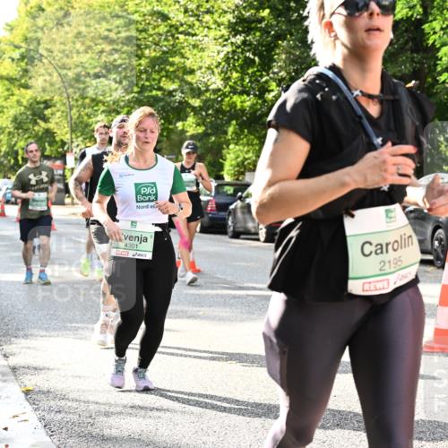 20.09.2026 - PSD Bank Halbmarathon Dr. Thomas Lammeyer http://msf.ph/oto/10499879 20.09.2026 10:51:31 Laufen 4301, 2195 meine-sportfotos.de