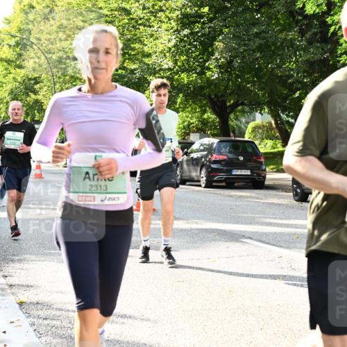 20.09.2026 - PSD Bank Halbmarathon Dr. Thomas Lammeyer http://msf.ph/oto/10499909 20.09.2026 10:51:35 Laufen 2137, 2313, 4683, 5, 1516 meine-sportfotos.de