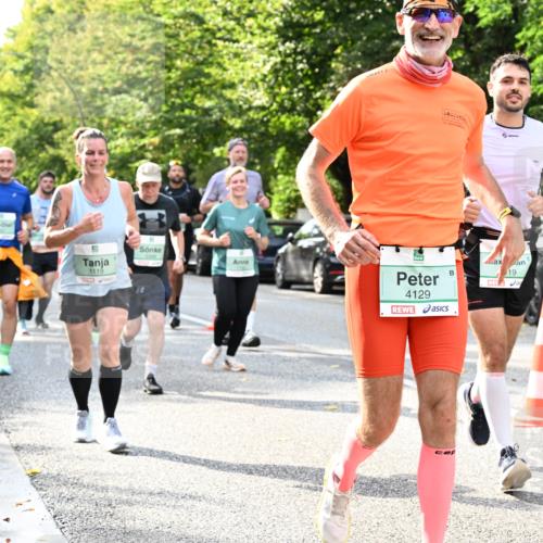 20.09.2026 - PSD Bank Halbmarathon Dr. Thomas Lammeyer http://msf.ph/oto/10500024 20.09.2026 10:51:48 Laufen 1119, 4129, 19 meine-sportfotos.de