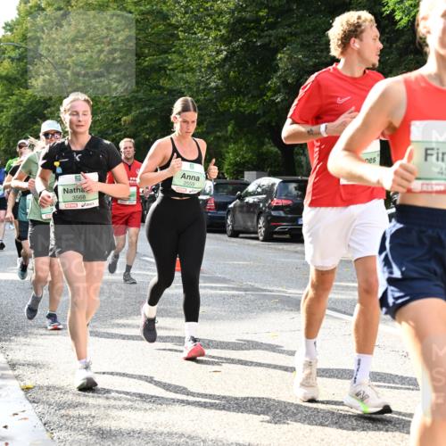 20.09.2026 - PSD Bank Halbmarathon Dr. Thomas Lammeyer http://msf.ph/oto/10500126 20.09.2026 10:52:02 Laufen 3568, 2559, 4381 meine-sportfotos.de