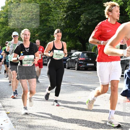 20.09.2026 - PSD Bank Halbmarathon Dr. Thomas Lammeyer http://msf.ph/oto/10500127 20.09.2026 10:52:03 Laufen 3568, 2559, 2, 4683, 4381 meine-sportfotos.de