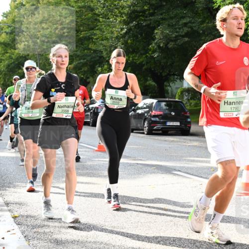 20.09.2026 - PSD Bank Halbmarathon Dr. Thomas Lammeyer http://msf.ph/oto/10500129 20.09.2026 10:52:03 Laufen 3314, 3568, 2559, 1790 meine-sportfotos.de