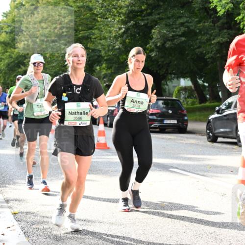 20.09.2026 - PSD Bank Halbmarathon Dr. Thomas Lammeyer http://msf.ph/oto/10500132 20.09.2026 10:52:03 Laufen 331, 3568, 2559, 1790 meine-sportfotos.de