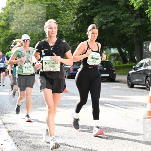 20.09.2026 - PSD Bank Halbmarathon Dr. Thomas Lammeyer http://msf.ph/oto/10500133 20.09.2026 10:52:03 Laufen 3314, 3568, 2559, 1790 meine-sportfotos.de